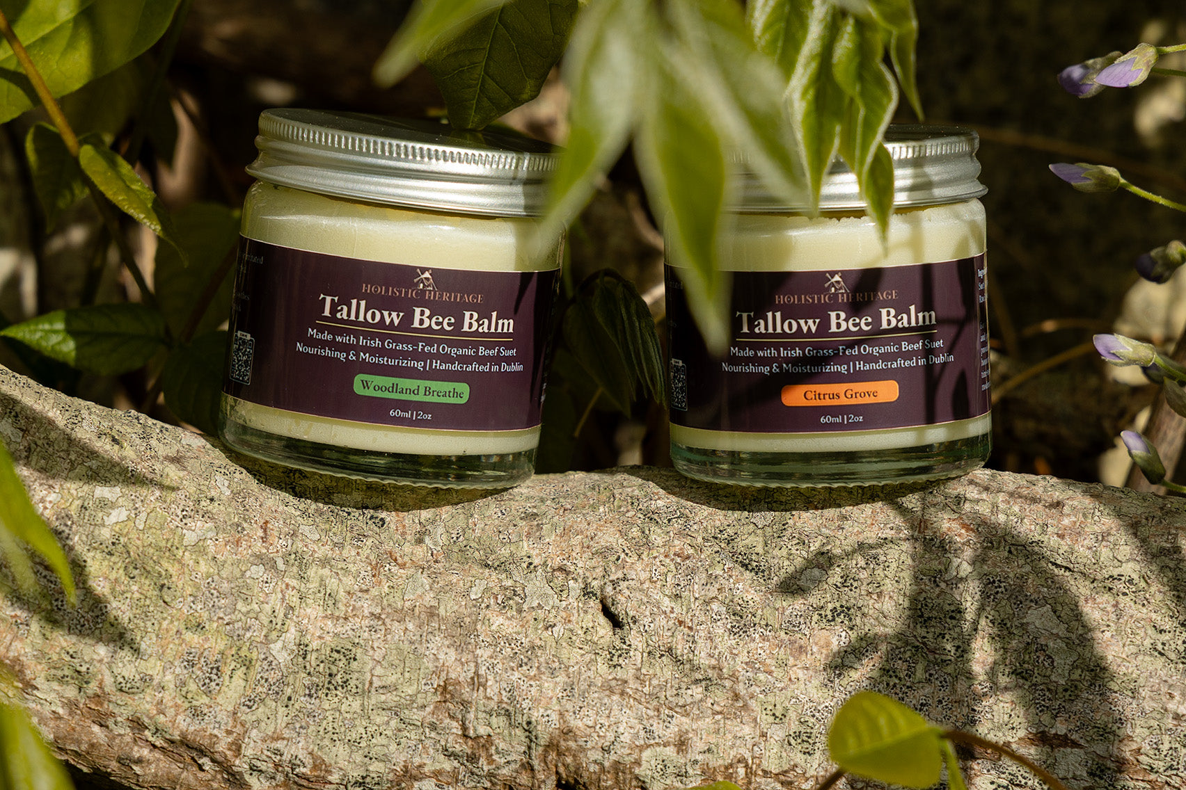 Two jars of Holistic Heritage Tallow Bee Balm (Woodland Breathe and Citrus Grove scents) sitting on a sunlit stone surface, surrounded by green leaves and flowering branches.